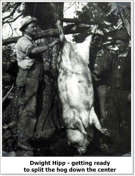hog killing