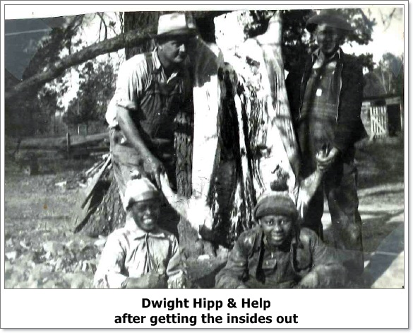 hog killing