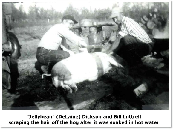 hog killing