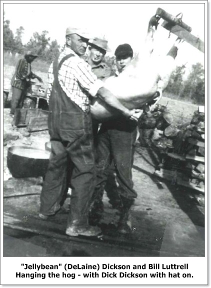 hog killing