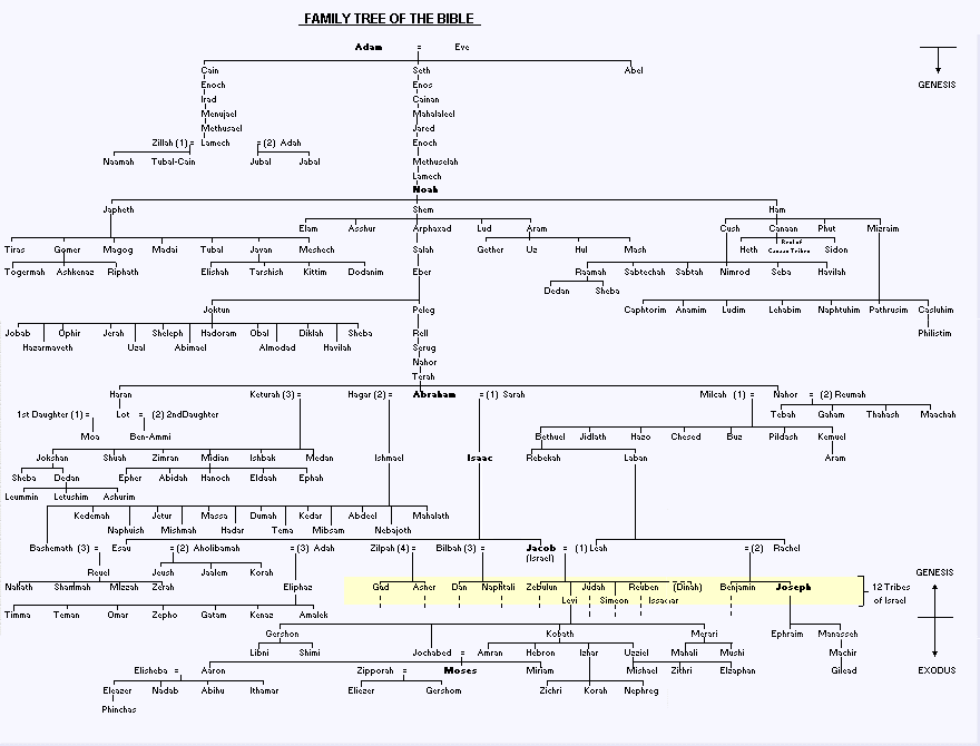 bible chart
