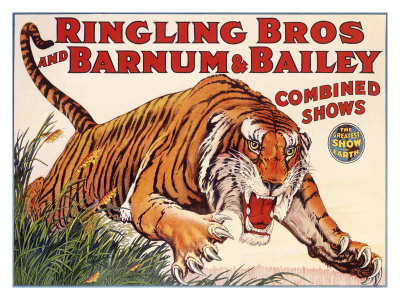 circus