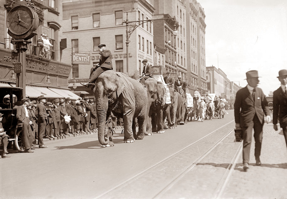 circus