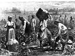 slaves
