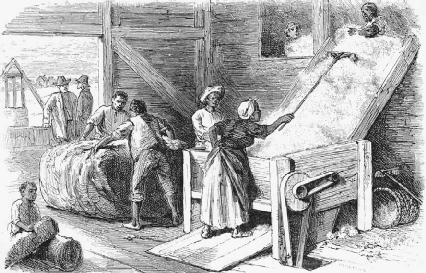 slaves